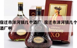 宿迁市洋河镇几个酒厂  宿迁市洋河镇几个酒厂啊