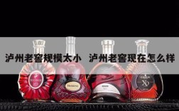 泸州老窖规模太小  泸州老窖现在怎么样