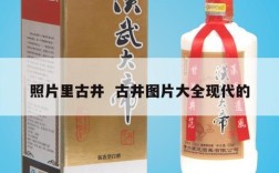 照片里古井  古井图片大全现代的