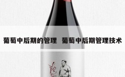 葡萄中后期的管理  葡萄中后期管理技术