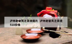 泸州老窖天之圣液图片  泸州老窖天之圣液518价格