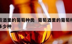 葡萄酒里的葡萄种类  葡萄酒里的葡萄种类有多少种