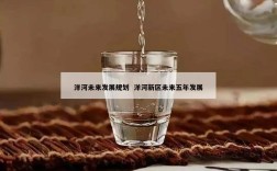 洋河未来发展规划  洋河新区未来五年发展