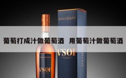 葡萄打成汁做葡萄酒  用葡萄汁做葡萄酒