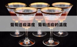 葡萄适应温度  葡萄适应的温度