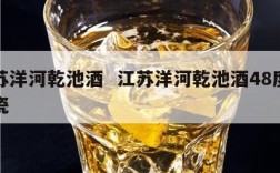江苏洋河乾池酒  江苏洋河乾池酒48度青花瓷