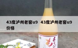43度泸州老窖u9  43度泸州老窖u9价格