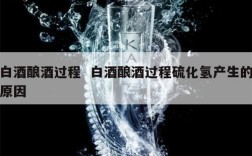 白酒酿酒过程  白酒酿酒过程硫化氢产生的原因