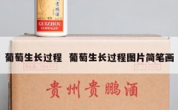 葡萄生长过程  葡萄生长过程图片简笔画