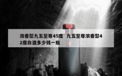 浓香型九五至尊45度  九五至尊浓香型42度白酒多少钱一瓶