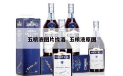 五粮液图片找酒  五粮液原图