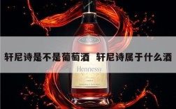 轩尼诗是不是葡萄酒  轩尼诗属于什么酒