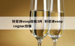 轩尼诗vsop价格3升  轩尼诗vsop cognac价格