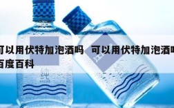 可以用伏特加泡酒吗  可以用伏特加泡酒吗百度百科