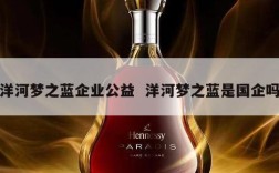 洋河梦之蓝企业公益  洋河梦之蓝是国企吗