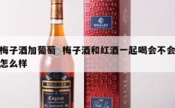 梅子酒加葡萄  梅子酒和红酒一起喝会不会怎么样