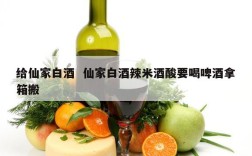 给仙家白酒  仙家白酒辣米酒酸要喝啤酒拿箱搬