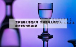 五粮液锦上添花代理  五粮液锦上添花52度浓香型价格2瓶装