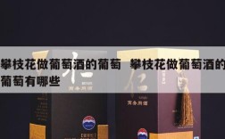 攀枝花做葡萄酒的葡萄  攀枝花做葡萄酒的葡萄有哪些