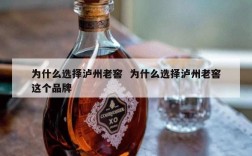 为什么选择泸州老窖  为什么选择泸州老窖这个品牌