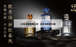 16年五粮液哪儿买  16年五粮液52度