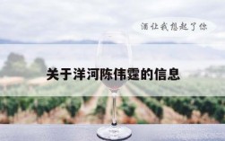 关于洋河陈伟霆的信息