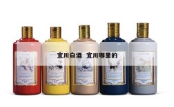 宜川白酒  宜川哪里的