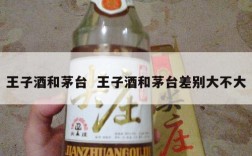 王子酒和茅台  王子酒和茅台差别大不大