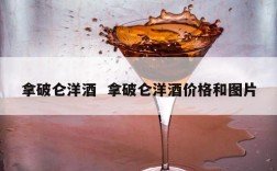 拿破仑洋酒  拿破仑洋酒价格和图片