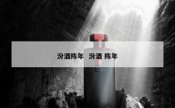 汾酒陈年  汾酒 陈年