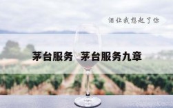 茅台服务  茅台服务九章