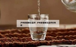 泸州老窖酿艺品评  泸州老窖酿艺品评价如何