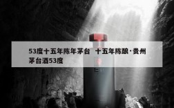 53度十五年陈年茅台  十五年陈酿·贵州茅台酒53度