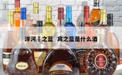 洋河賓之蓝  宾之蓝是什么酒