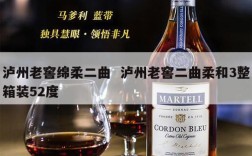 泸州老窖绵柔二曲  泸州老窖二曲柔和3整箱装52度
