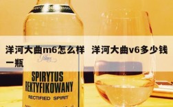 洋河大曲m6怎么样  洋河大曲v6多少钱一瓶