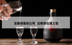 五粮液建设公司  五粮液在建工程