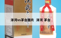 洋河vs茅台图片  洋河 茅台
