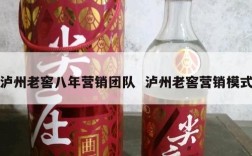 泸州老窖八年营销团队  泸州老窖营销模式