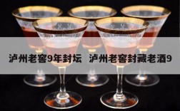 泸州老窖9年封坛  泸州老窖封藏老酒9