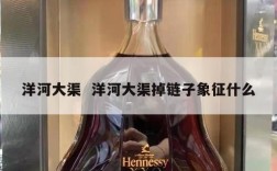 洋河大渠  洋河大渠掉链子象征什么