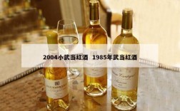 2004小武当红酒  1985年武当红酒