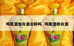 鸡尾酒加白酒会醉吗  鸡尾酒掺白酒