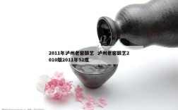 2011年泸州老窖酿艺  泸州老窖酿艺2010版2011年52度
