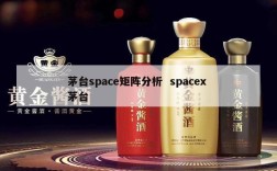 茅台space矩阵分析  spacex 茅台