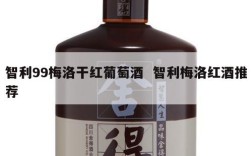 智利99梅洛干红葡萄酒  智利梅洛红酒推荐