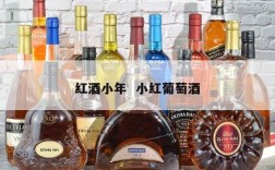 红酒小年  小红葡萄酒