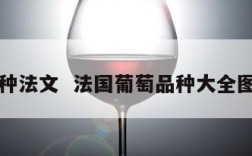 葡萄品种法文  法国葡萄品种大全图片名字