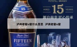 泸州老窖u窖什么意思  泸洲老窖u窖