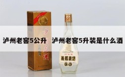 泸州老窖5公升  泸州老窖5升装是什么酒